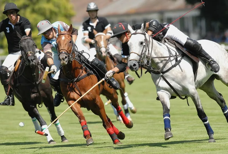 Polospiel in Chantilly